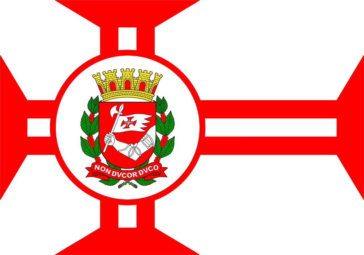 Bandeira De São Paulo Significado - REVOEDUCA